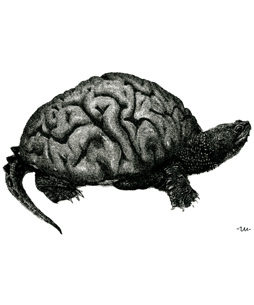 teknosagy